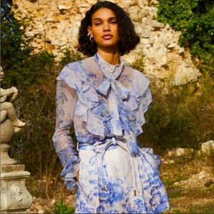 Wild Botanica Luminous Ruffle Blouse size 0 .